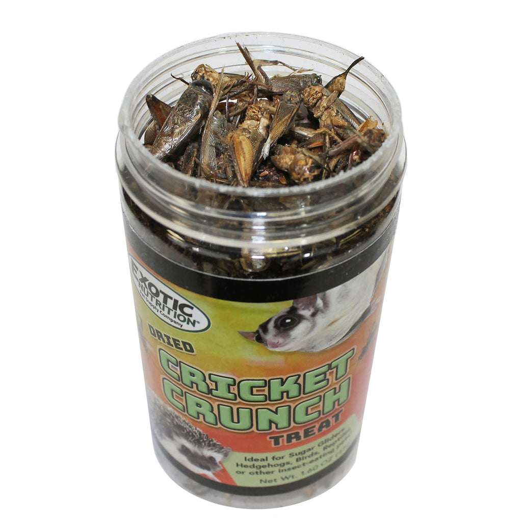 Cricket Crunch