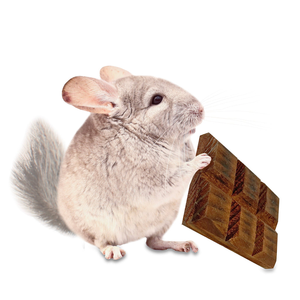 Willow Crunch Bar