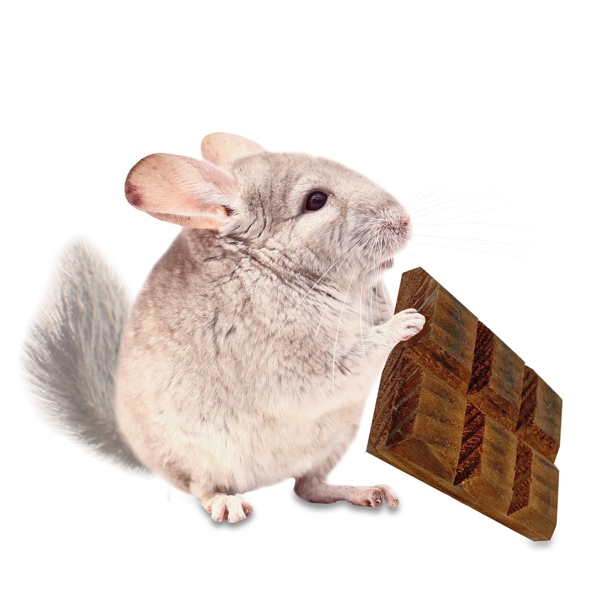 Willow Crunch Bar