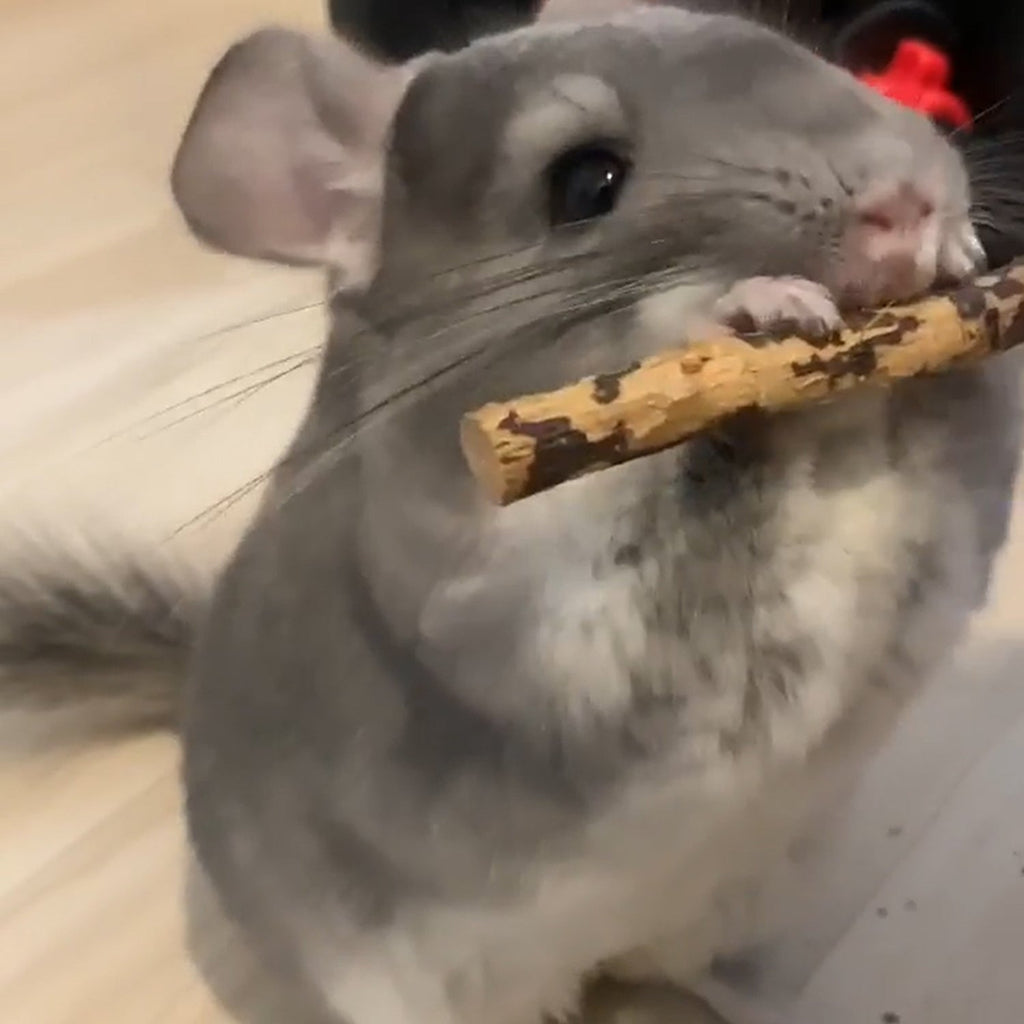 Chew Assortment