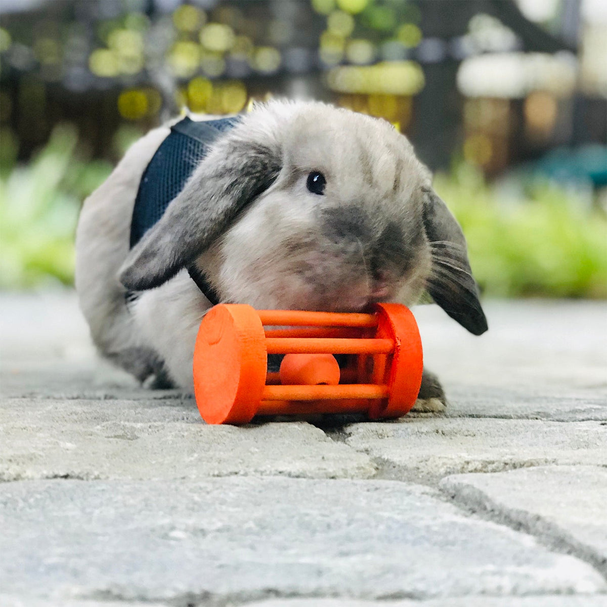 Barrel Roller Toy