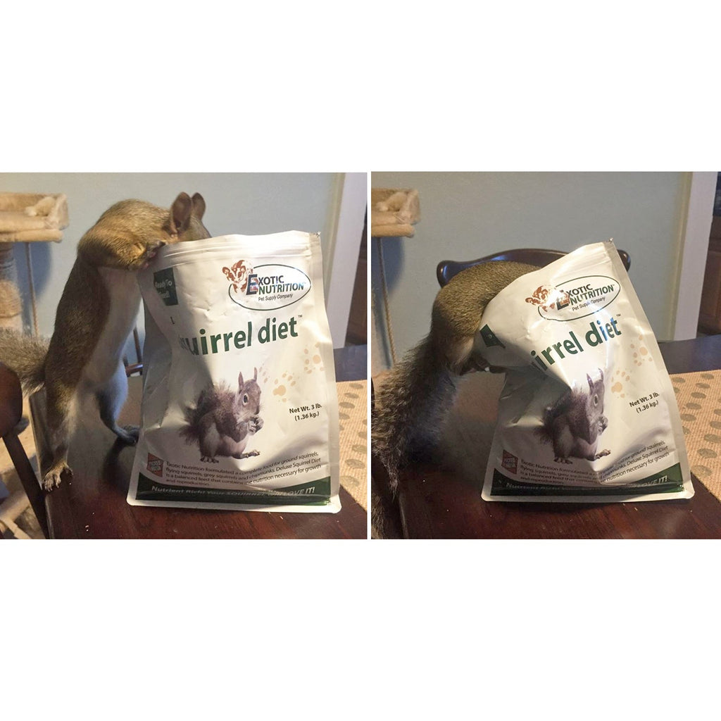 Deluxe Squirrel Diet Squirrel Food
