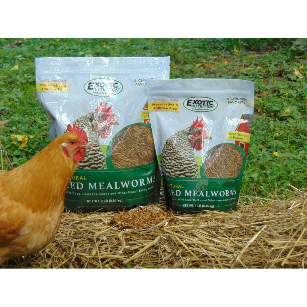 Dried Mealworms 2 lb.