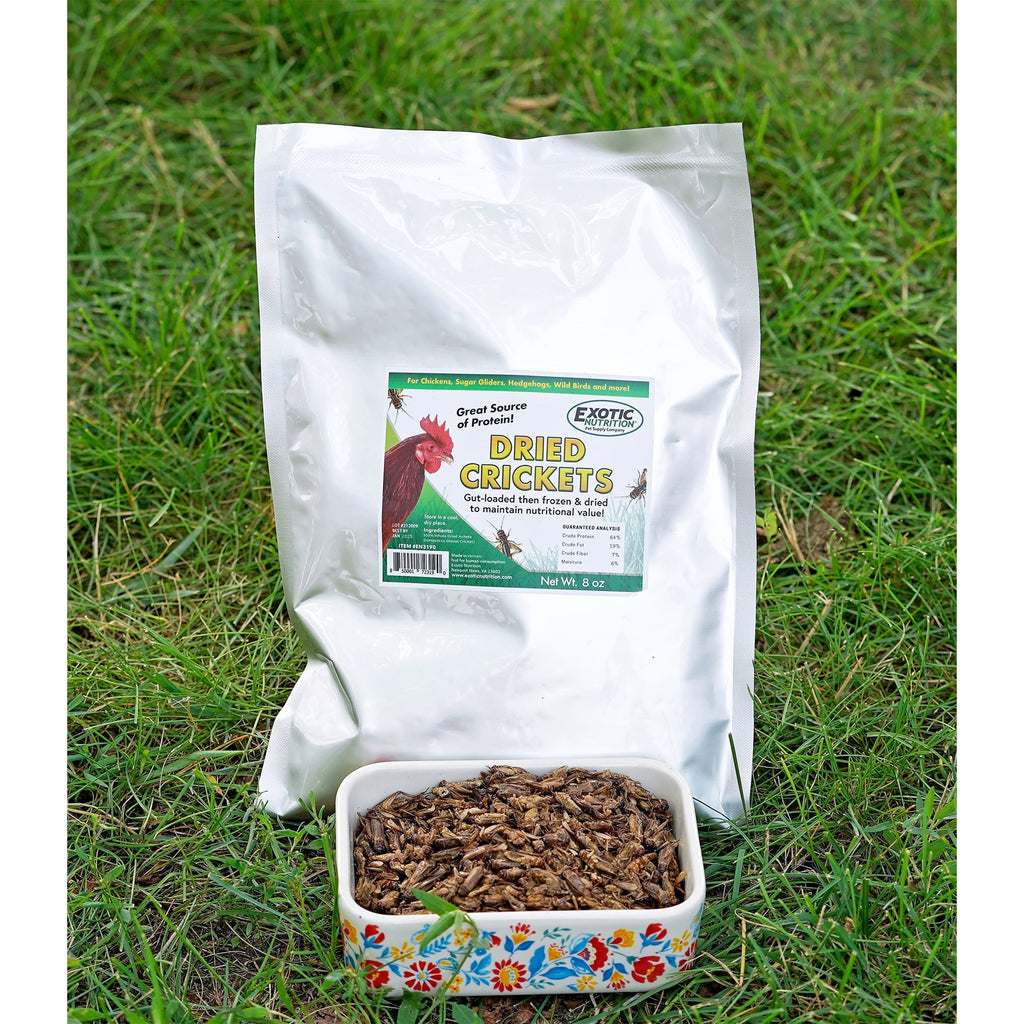 Dried Crickets