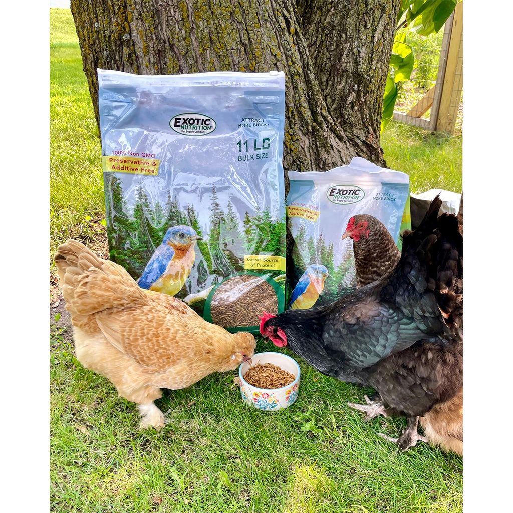 Worm Value Pack / 11 lb. Mealworms + 5 lb. Grub-Worms