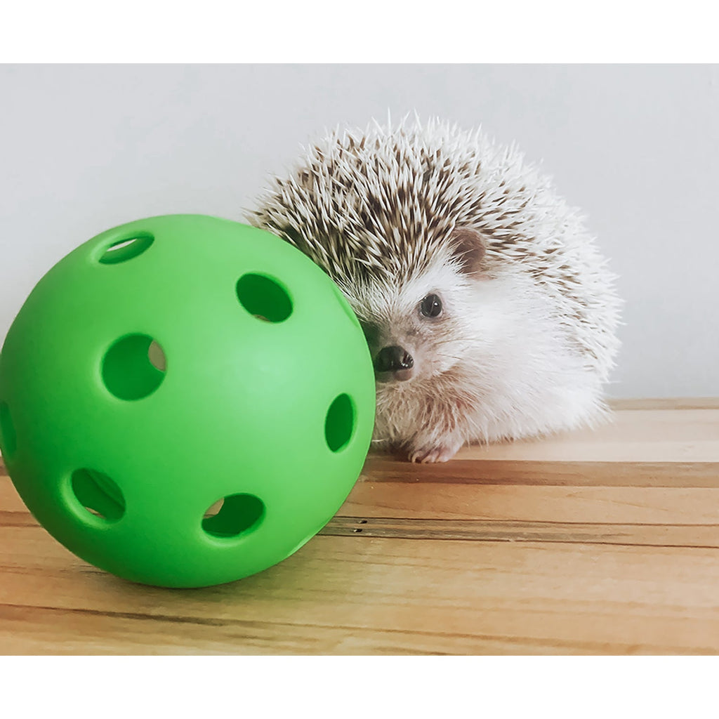 Hedgehog Ball