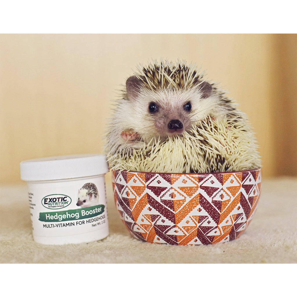 Hedgehog Booster (Multivitamin)