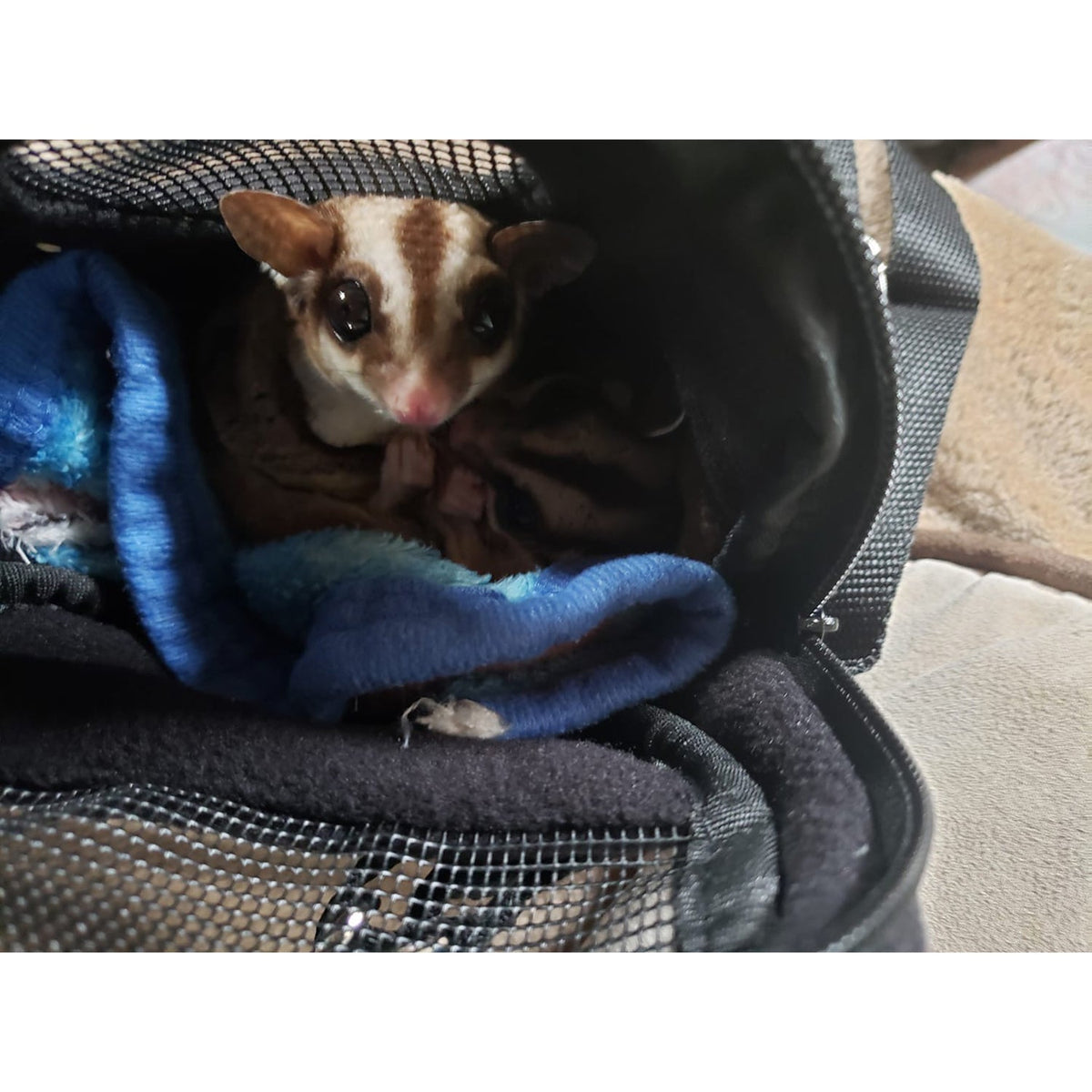 Kucci Carry Pouch