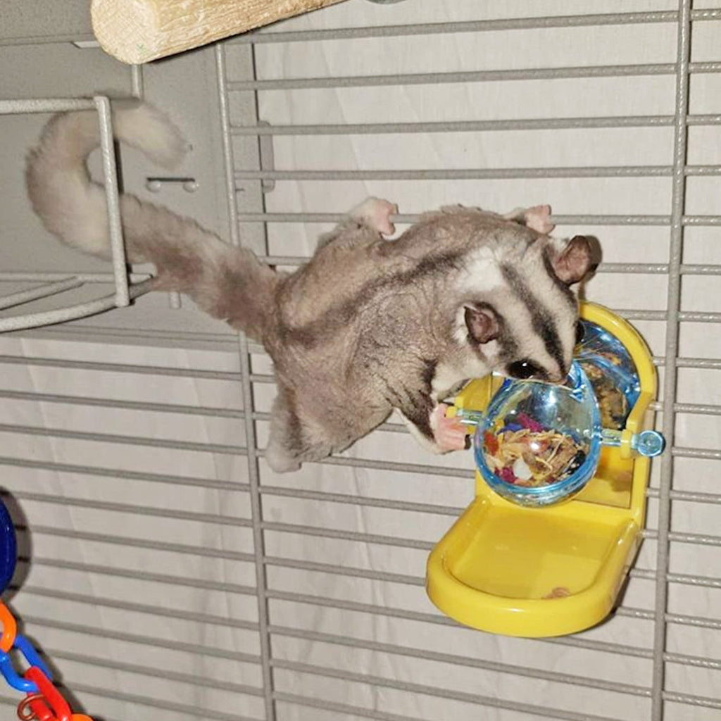Tilt-N-Treat Dispenser