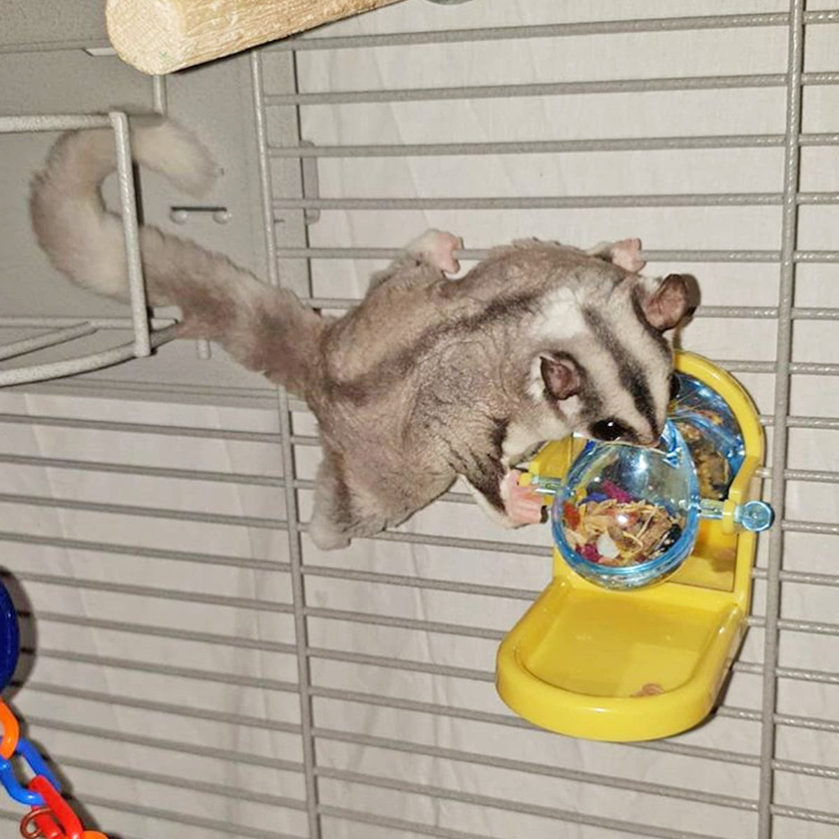 Tilt-N-Treat Dispenser