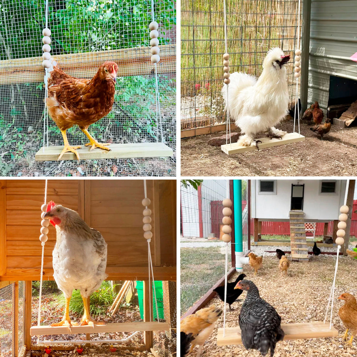 Chicken Swing