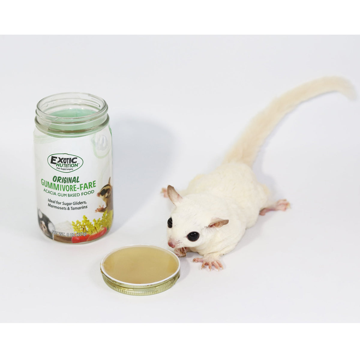 Gummivore-Fare Sugar Glider Food