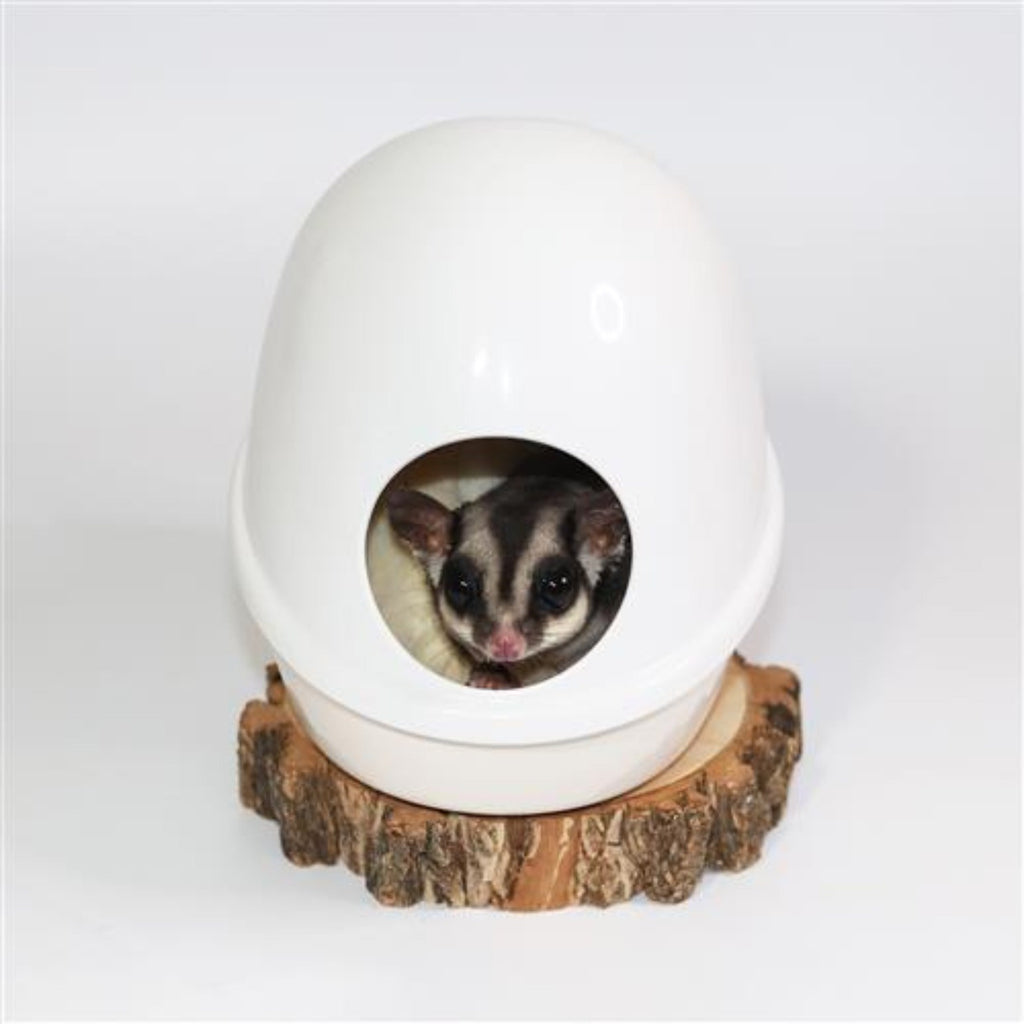 No-Mess Press N' Slide Feed Station with Dome
