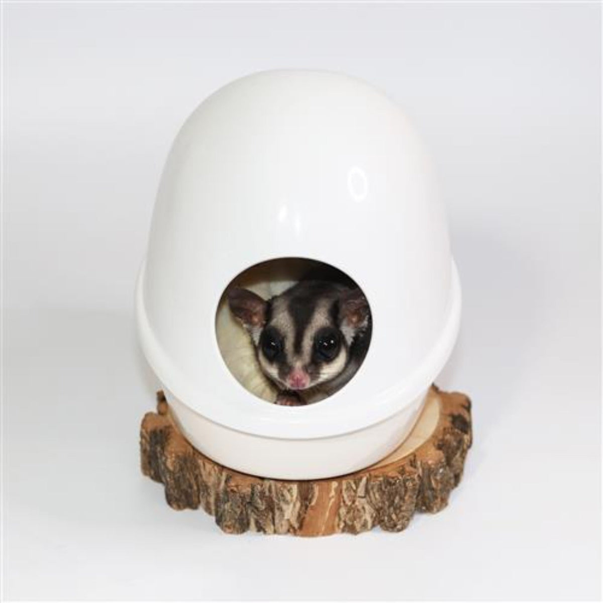 No-Mess Press N' Slide Feed Station with Dome