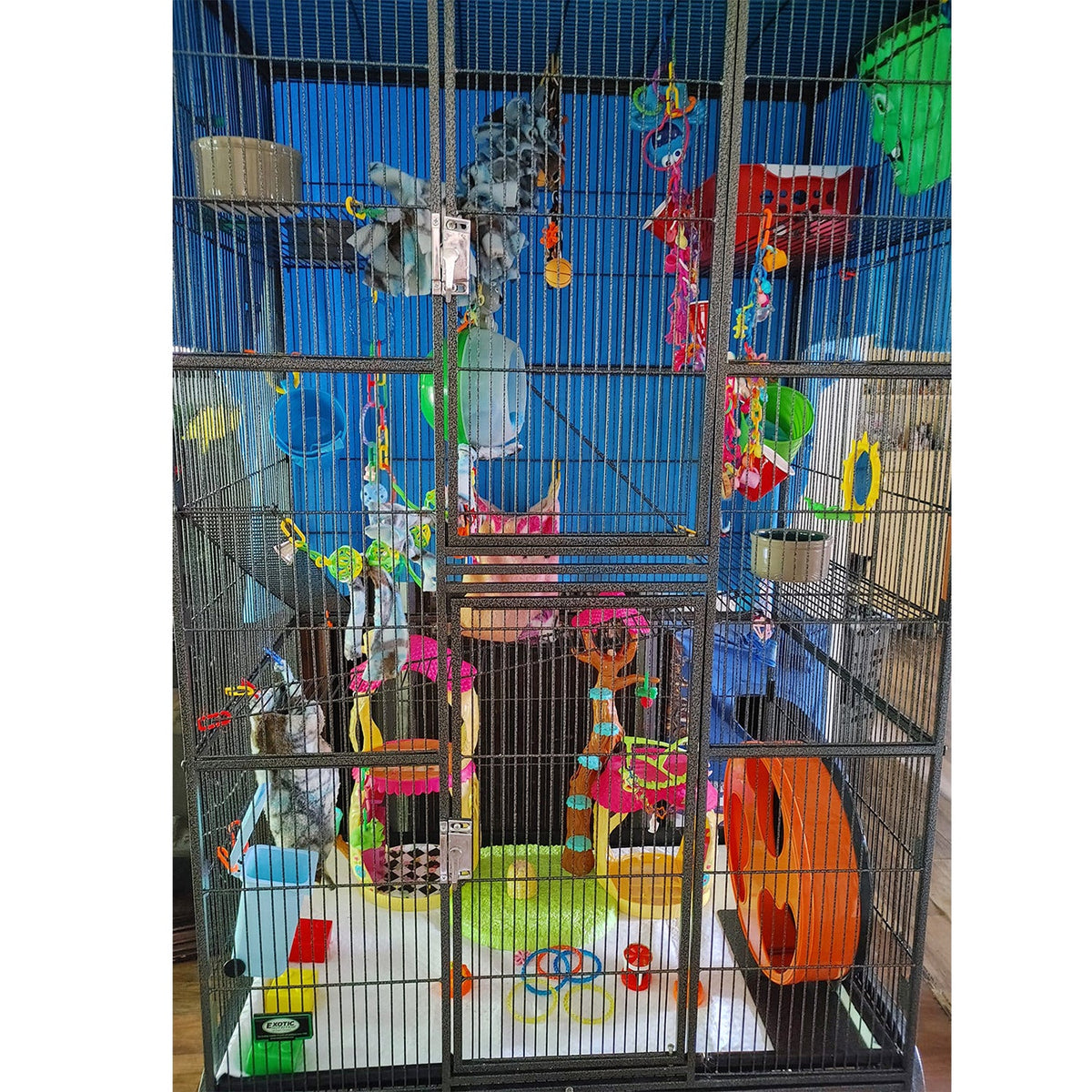 Madagascar Cage & Starter Pack for Sugar Gliders