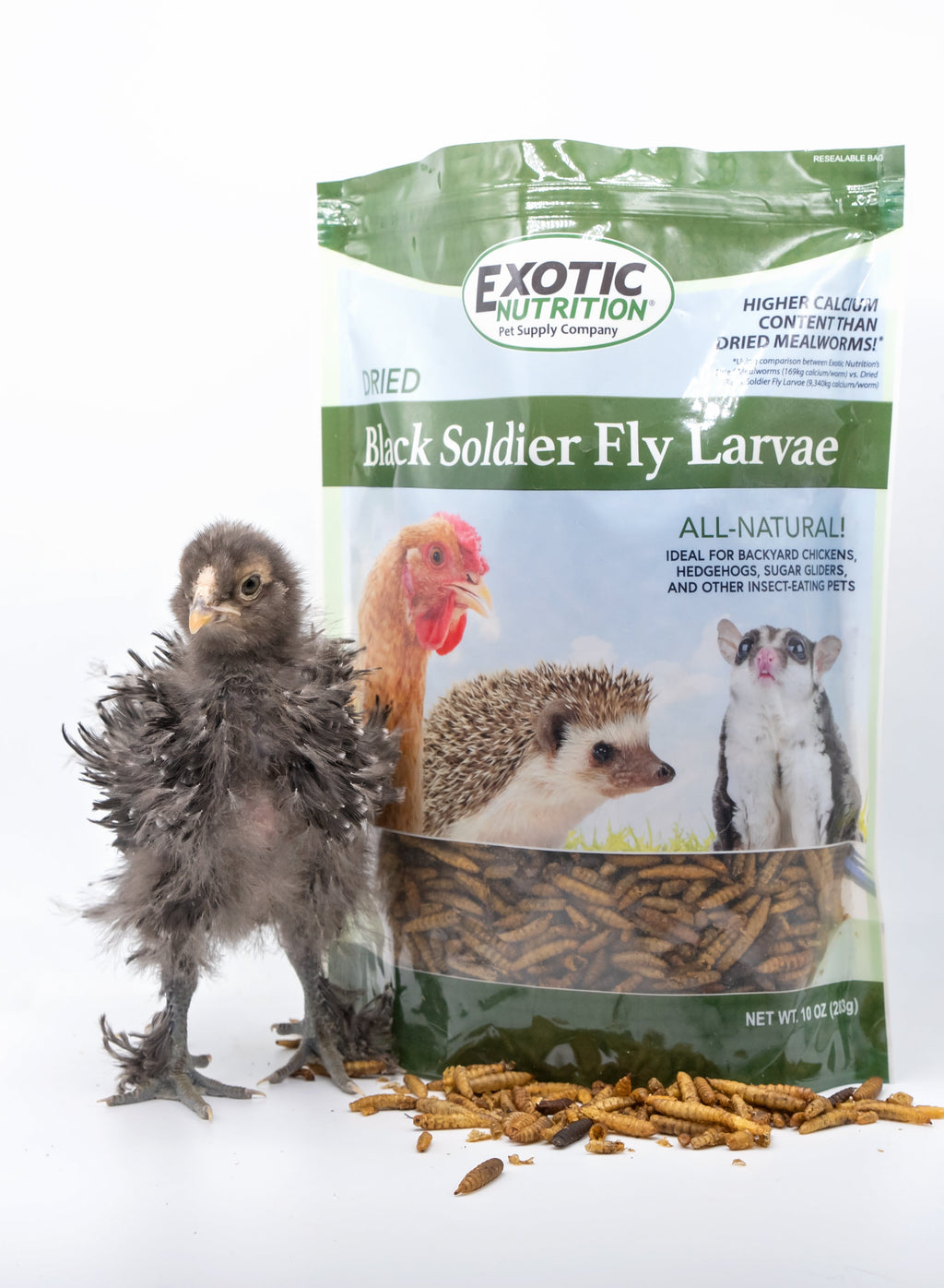 Dried Black Soldier Fly Larvae