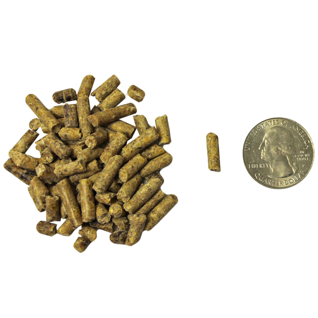 Deluxe Squirrel Diet Squirrel Food