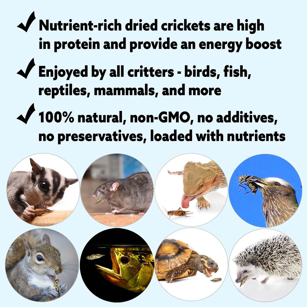 Dried Crickets