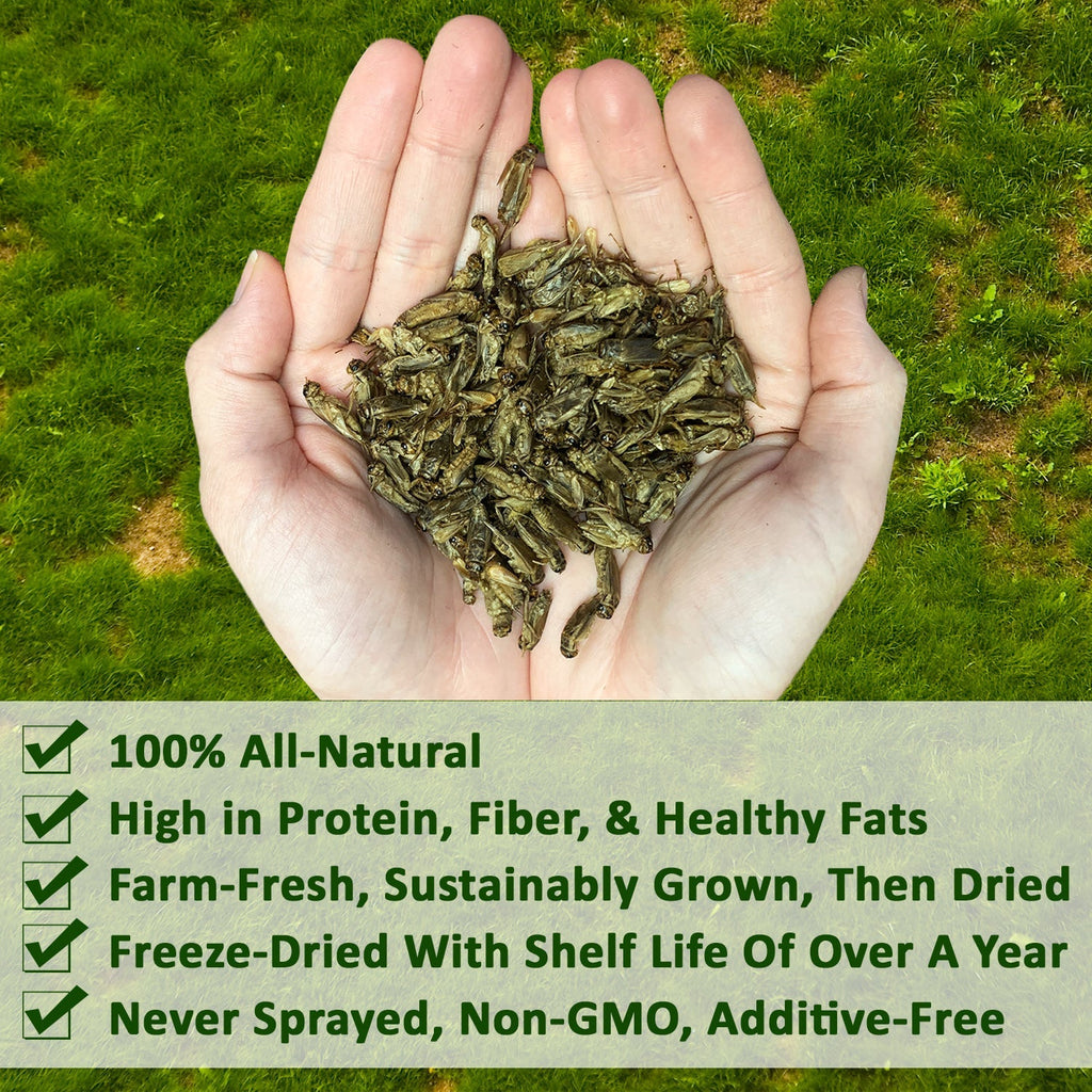 Dried Crickets