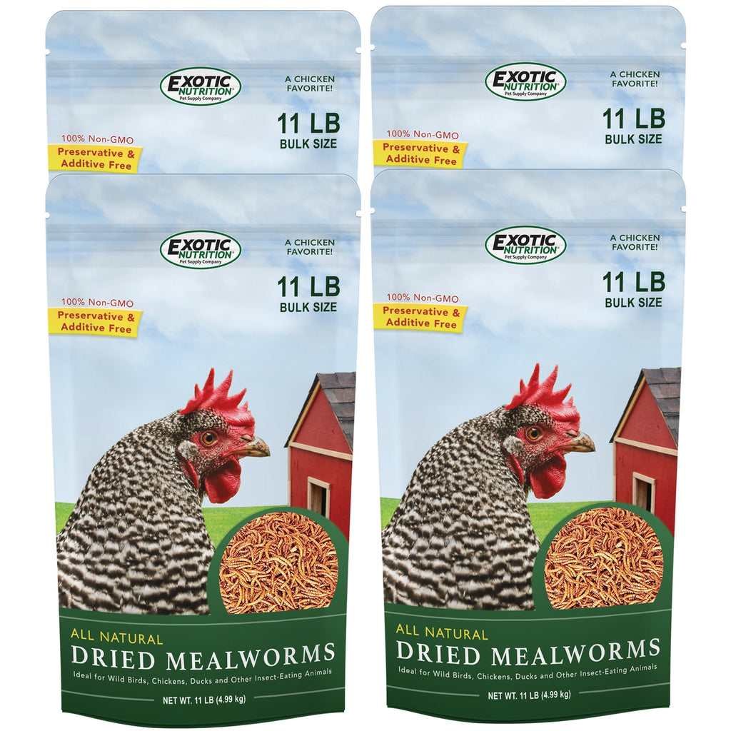 Dried Mealworms Bulk