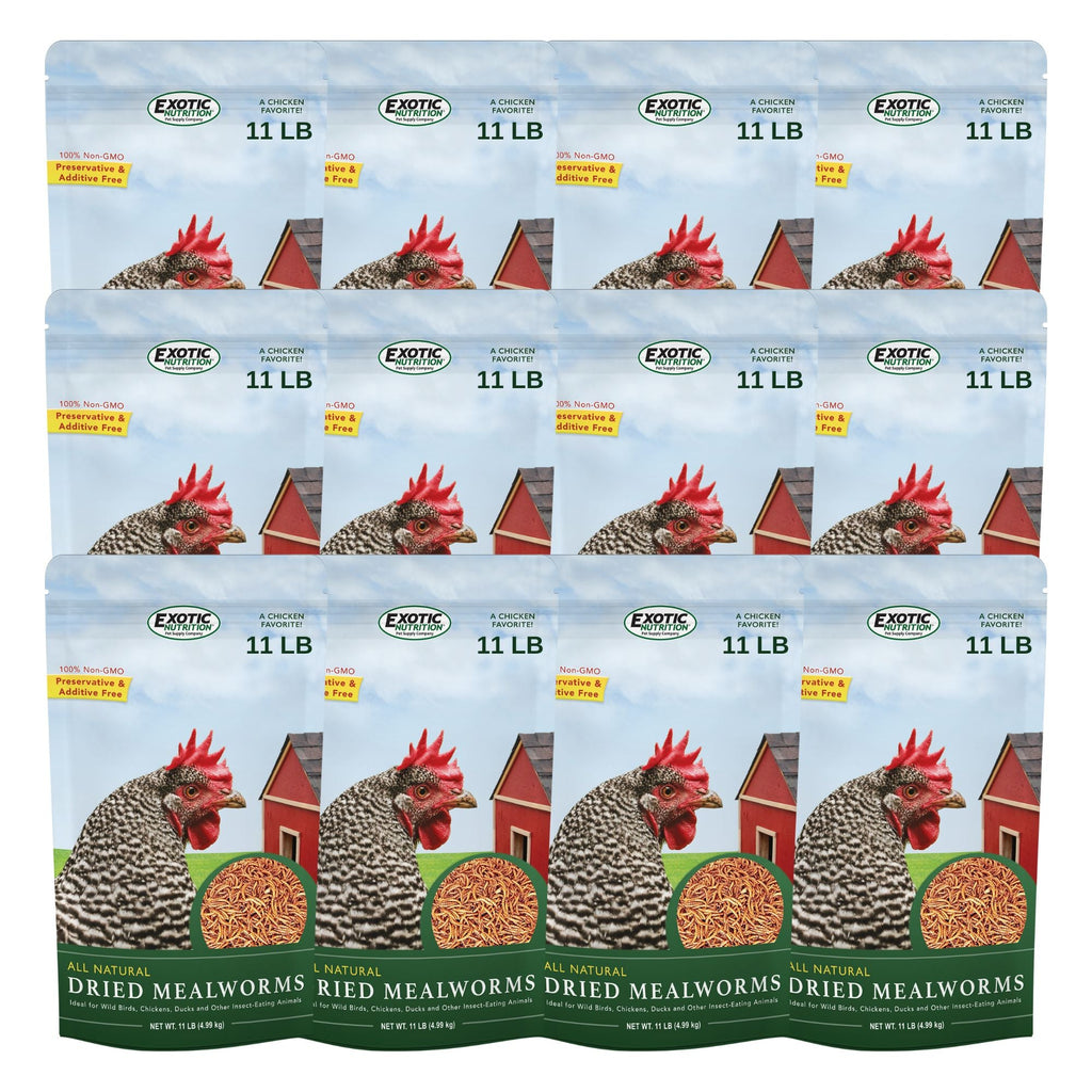 Dried Mealworms Bulk