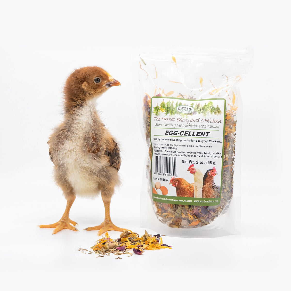 Egg-Cellent Chicken Nesting Herbs Backyard Chicken Treat