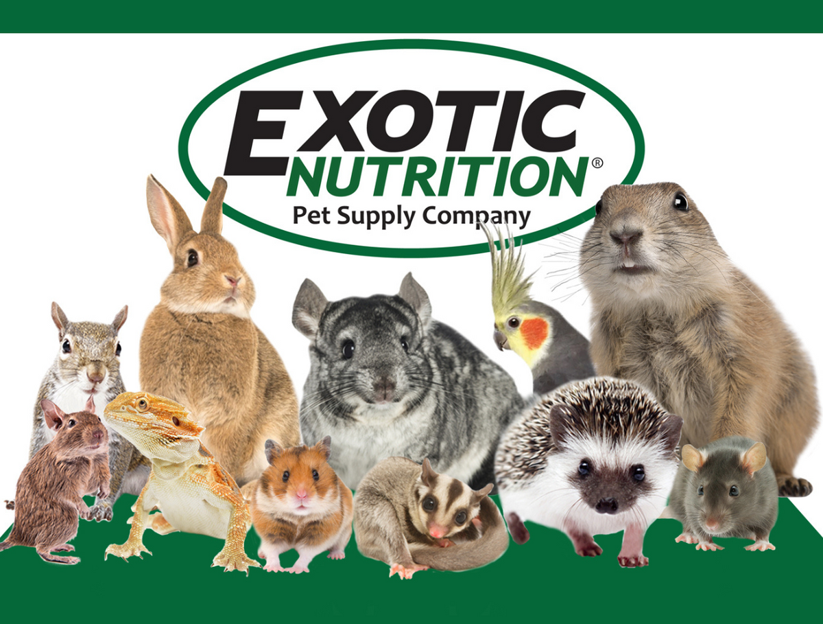 Exotic Nutrition Shelf Talkers