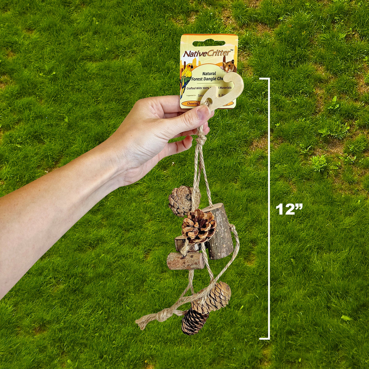 Woodland Accessory Bundle