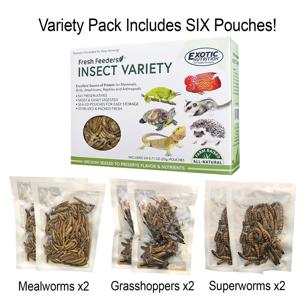 Hedgehog Treat Sampler