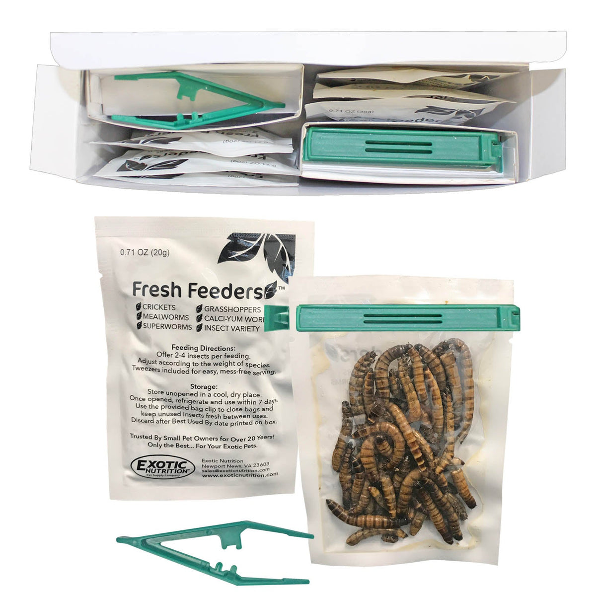 Fresh Feeders