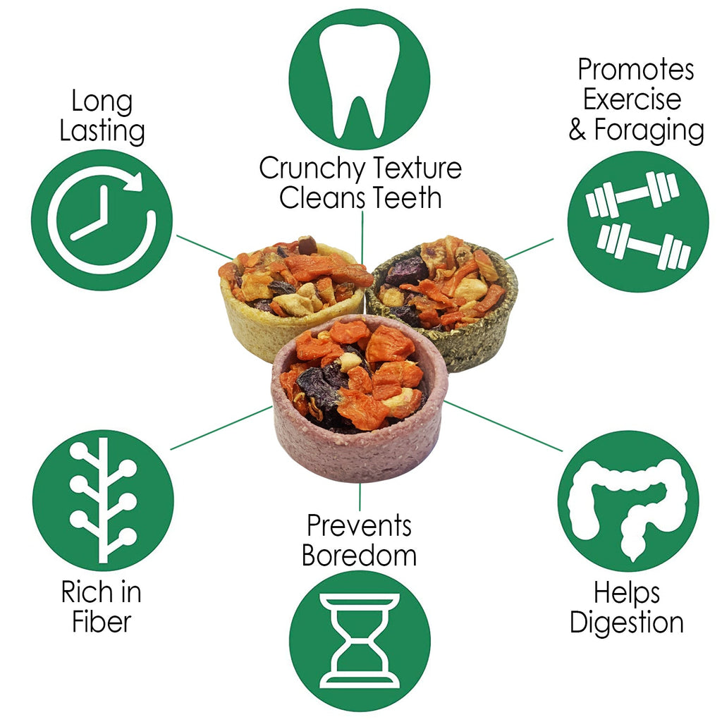 Fruit & Veggie Tarts