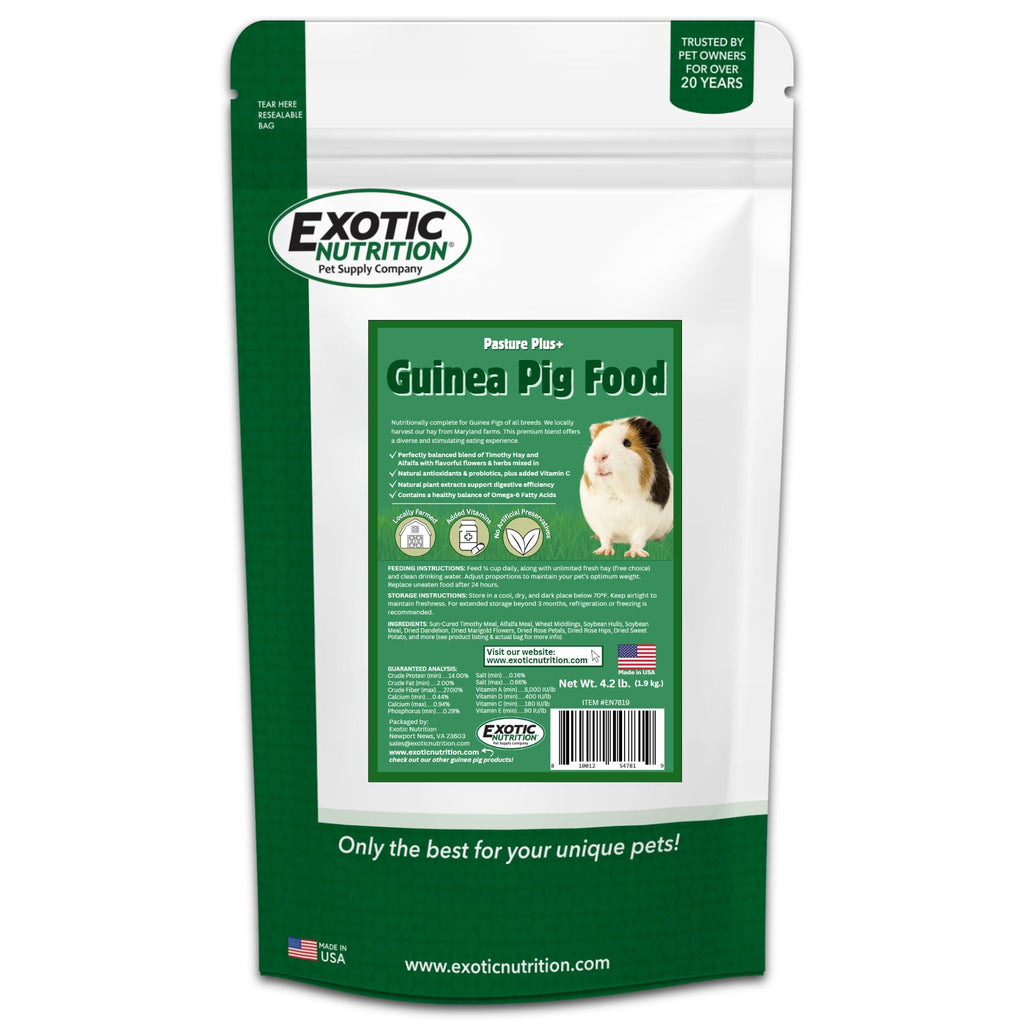 Guinea Pig Food