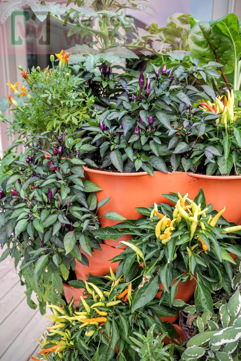 Garden Tower 2™, 50-Plant Composting Vertical Garden Planter (Dropship)