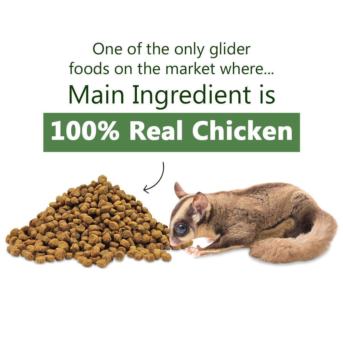 ZooPro Glider Essential Sugar Glider Food