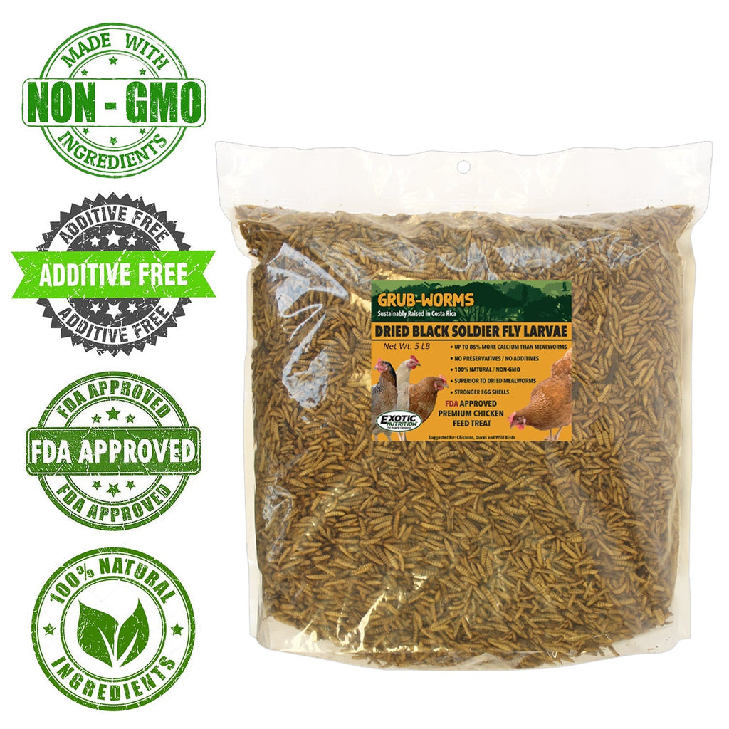 Grub-Worms Black Soldier Fly Larvae