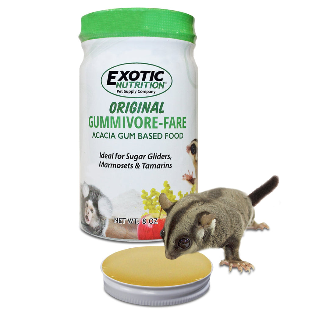 Gummivore-Fare Sugar Glider Food