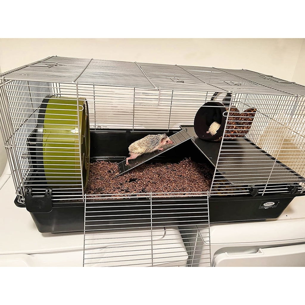 Zanzibar Cage
