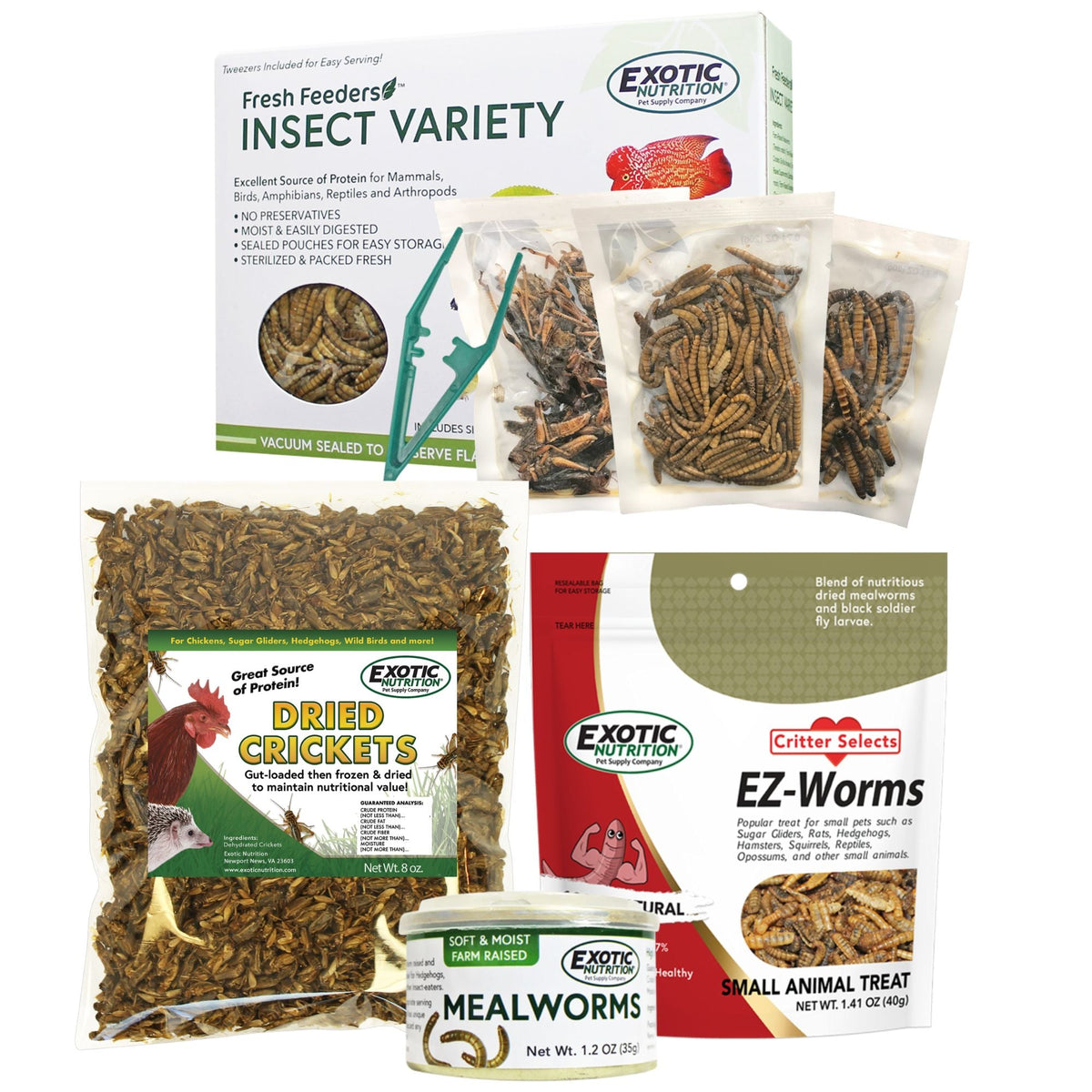 Hedgehog Treat Sampler