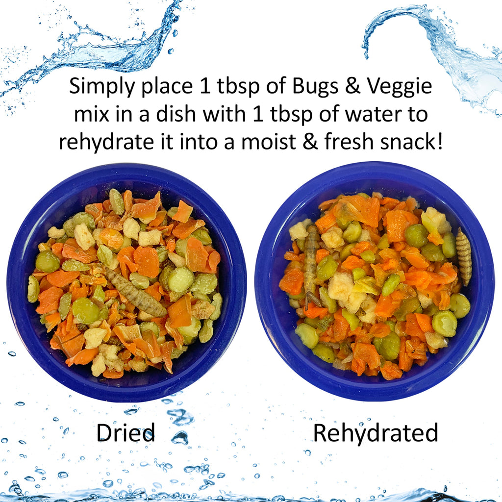Hedgie Bugs & Veggie