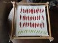 Herb Dryer