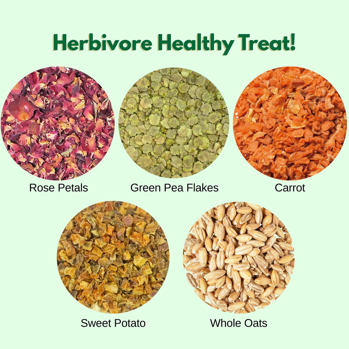 Herbivore Healthy Treat