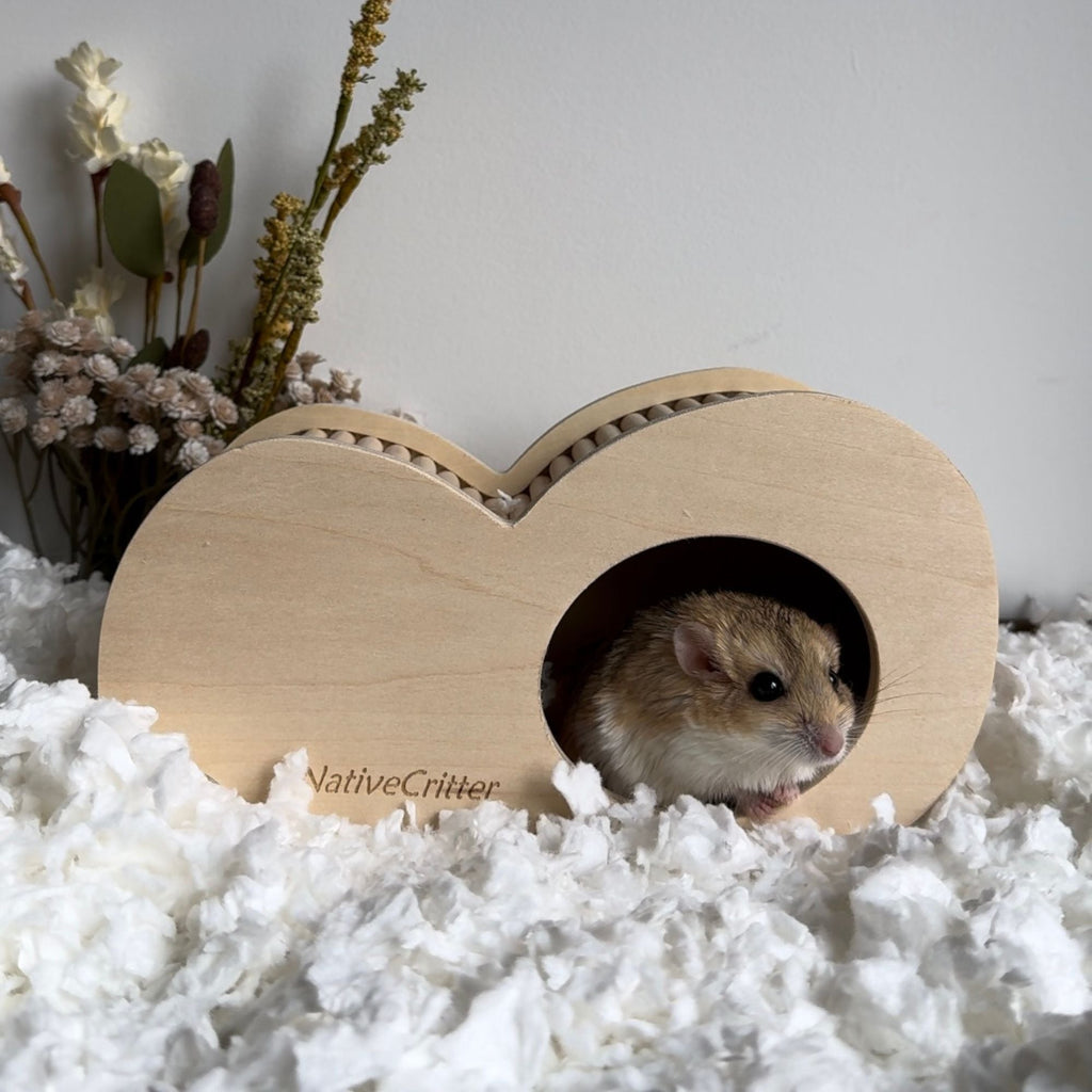 Hide-A-Way Climber