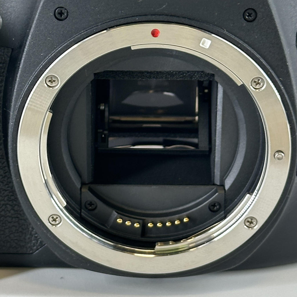 Canon EOS Rebel T7 24.1MP Black