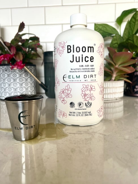 Bloom Juice - Our Award-Winning Formula for Spectacular Flowers
