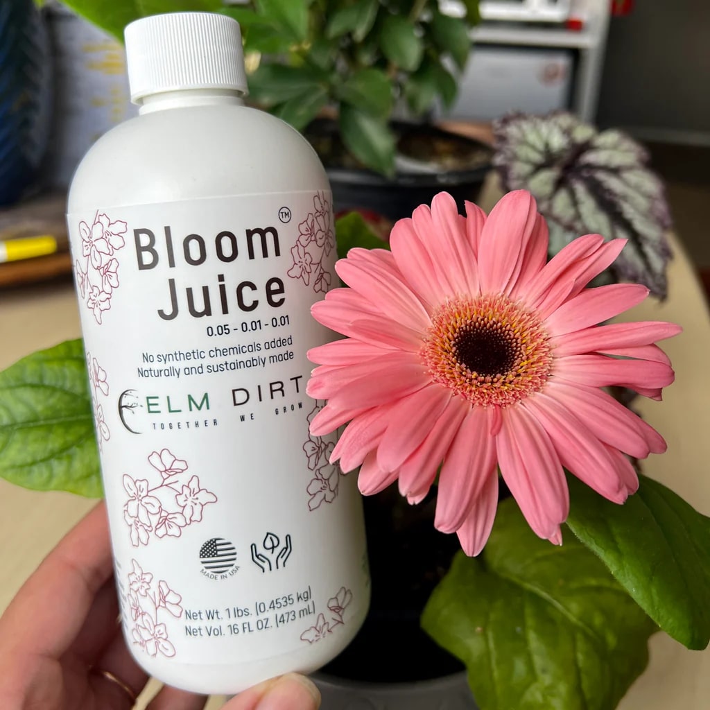 Bloom Juice - Our Award-Winning Formula for Spectacular Flowers