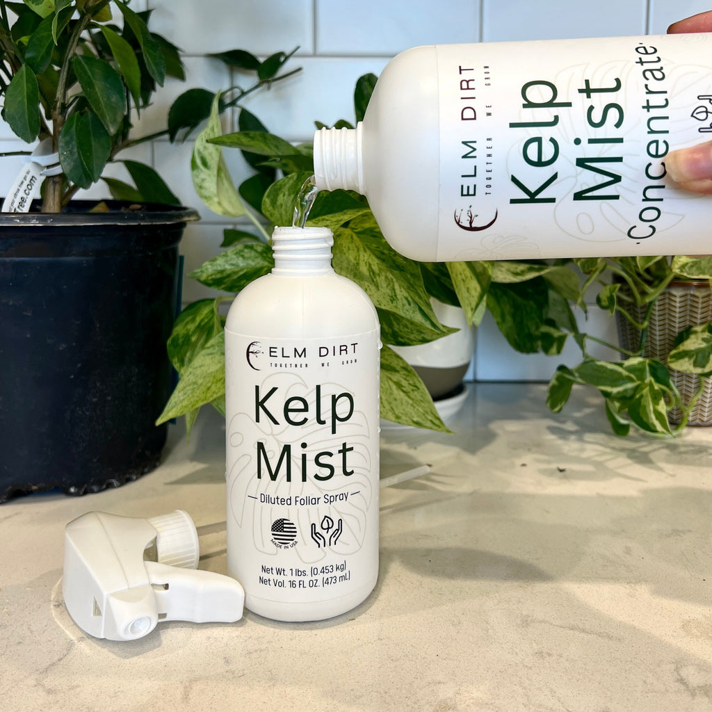 Kelp Mist