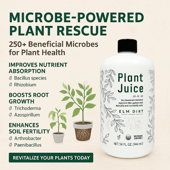 Plant Juice