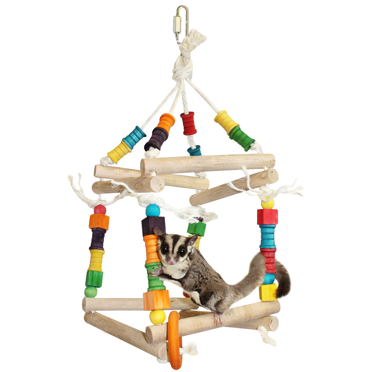 Rainbow Accessory Bundle