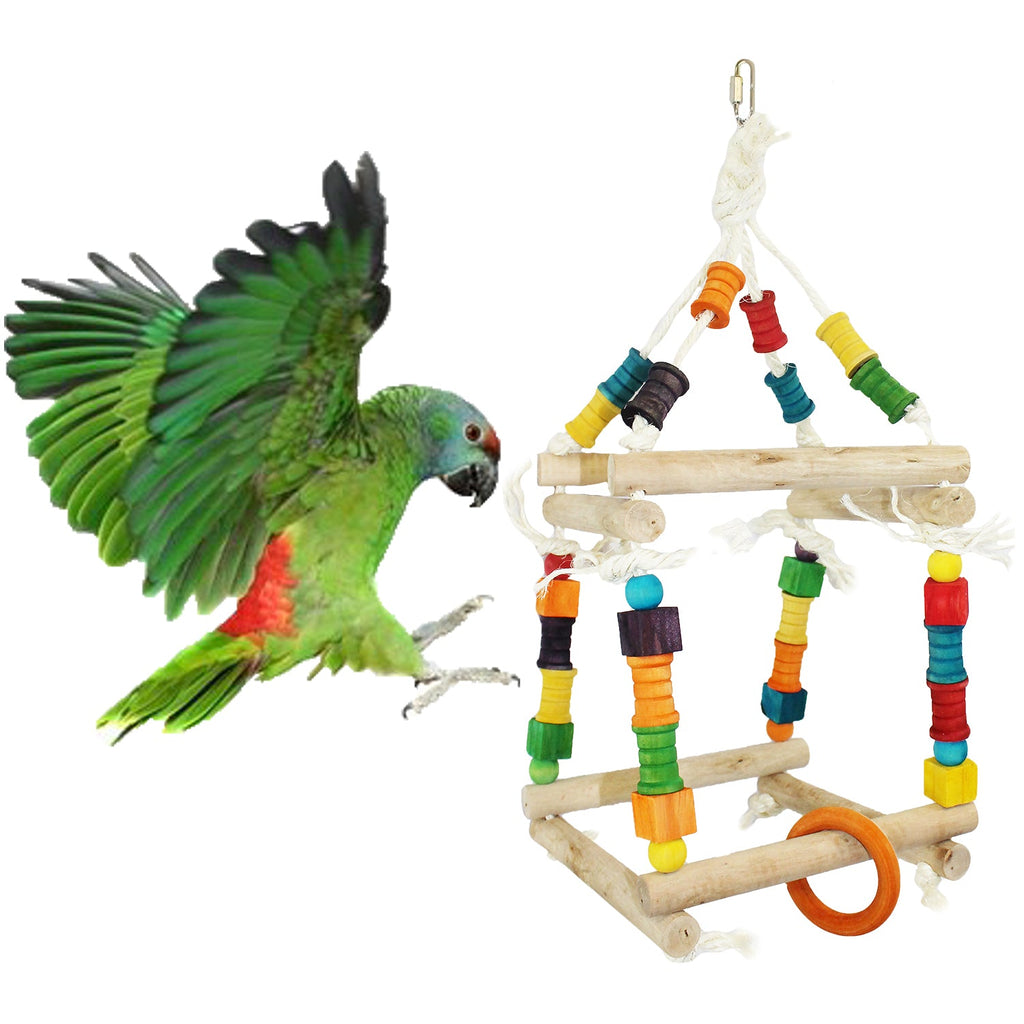 Rainbow Accessory Bundle