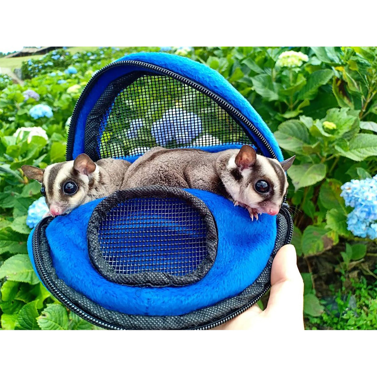 Kucci Carry Pouch